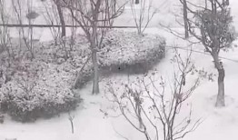 宿迁今日爆料最新消息视频,今日视频揭秘惊人内幕