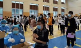 明芳爆料树兰最新消息,树兰最新动态揭秘